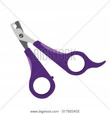 I now do the same, since i have been coming here for about 2 years and have only had wonderful experiences. Violet Scissors Vector Photo Free Trial Bigstock