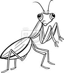 Escolha seu desenho, imprima e pronto. Mantis Inseto Pagina Para Colorir Desenho Animado Cartazes Para A Parede Posters Mantis Coloracao Mascote Myloview Com Br