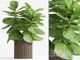 182 Plant 182 3dsmax Model Free Download