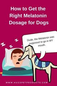 What Can I Give My Dog To Help Him Sleep Melatonin Dosage Melatonin For Dogs Meds For Dogs