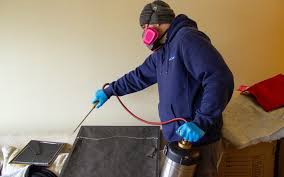 30+ years of experience in bed bug control b & b pest control has been treating bed bugs for over 30 years and has serviced over 10,000 units in that time. B B Pest Control Blog B B Pest Control Part 8