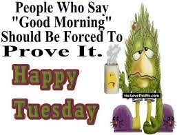 Apart from having a cup of flavored coffee good morning tuesday! 50 Cute Happy Tuesday Cartoon Quotes Happy Tuesday Quotes Morning Humor Funny Images With Quotes