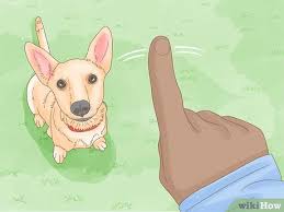 Tips on how to make your dog stop humping & mounting 1. 3 Ways To Stop A Dog From Humping Wikihow