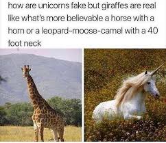 I'm a moron, the story was posted at 3:34 am no wonder it was a bust xd. 10 Memes That Are Very Worth Your Time