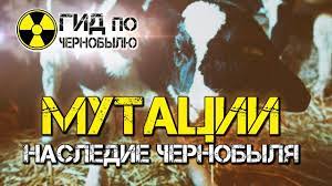Именно в этот жуткий день я. Zhivotnye Mutanty Chernobylya Shokiruyushie Kadry Mutacij Posle Avarii Na Chaes Youtube