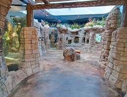 Mig Portico Los Angeles Zoo Living Amphibians Invertebrates And Reptiles Lair Reptile Enclosure Zoo Architecture Reptiles