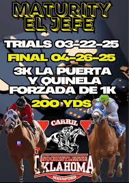 Carreras De Arkansas