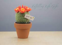 Pin On Crochet Cactus