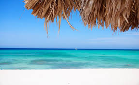 Discovering The All-New Arashi Beach Shack