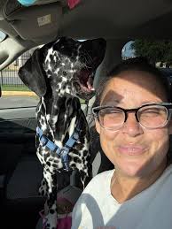 Flood Facebook with positive pet photos