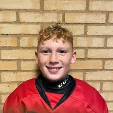 Team Tyresö Hanviken Hockey