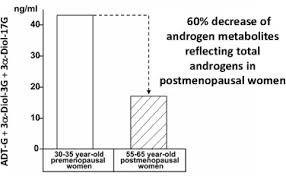 • protect the cells chloroplast • chloroplast is essentially what makes a plant cell a plant cell. Androgens In Women Are Essentially Made From Dhea In Each Peripheral Tissue According To Intracrinology Sciencedirect