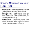 In relatively large amounts, the soil supplies nitrogen, phosphorus, potassium, calcium, magnesium, and sulfur; 1
