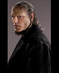 The Telepath: A Hermione Granger x Male Reader Story