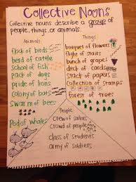 collective noun anchor chart noun anchor charts teaching