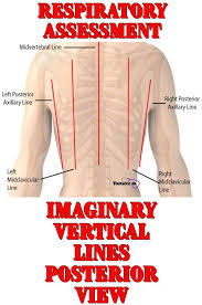 Nursing Health Assessment Of The Respiratory System Respiratory System Respiratory Therapy Student Emergency Nursing