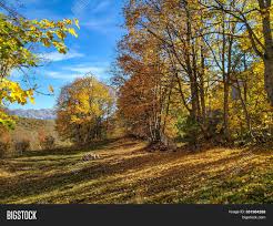 Sometimes the best pictures depict what is most familiar. Serene Peaceful Nature Image Photo Free Trial Bigstock