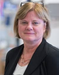 Nancy A. Speck: Chair of the Department of Cell & Developmental Biology