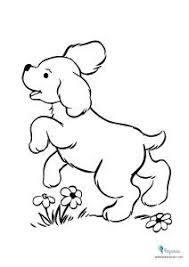 Dibujos Para Colorear Faciles De Animales