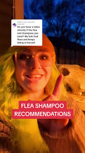 Replying to @hmm.hiraeth Flea Shampoo Recommendations! Nature's Specialties  Citrus shampoo, TropiClean's flea shampoo or.....Dawn 🤫  #fleas#flea#flearemoval#fleaprevention#fleashampoo#petcare#pethealth...
