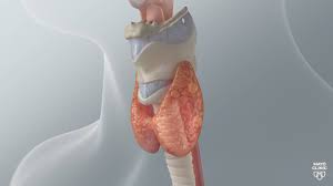 Image result for Chondrosarcoma