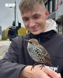 Vom Feld zur Fritte 🚜🍟 🇧🇪 In Belgien gehört sie einfach dazu: die  Portion Fritten auf die Hand. Doch während viele Kartoffeln eine lange  Reise hinter sich haben, ist der Weg bei