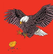 Philadelphia eagles bleeding green nation. When The National Bird Is A Burden The New York Times