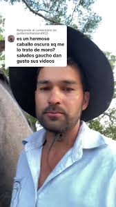 Debate sobre la autopercepción del caballo moro oscuro