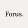 Logo Forus