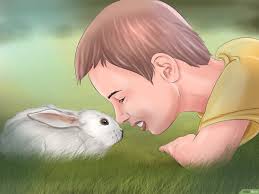 Mais à la condition de faire procéder à l'incinération individuelle de votre animal de. Comment Creer Un Lien Avec Son Lapin 14 Etapes