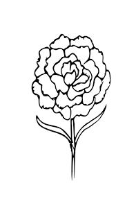 Image Gratuite Sur Pixabay Contour Coloration Carnation Fleur Silhouette Coloration Images Gratuites