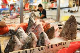 Fishmonger (singapore) pte ltd darbojas mehānismu vairumtirdzniecība aktivitātēs. Today S Evening Brief For Tuesday Dec 18 Today