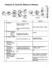 mitosis meiosis t chart answers compare contrast