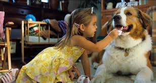 A dog's extraordinary bond with a family deepens when he befriends a young granddaughter, and reincarnates to protect and support her as she grows up. Movies Dog S Journey John Wick Trial By Fire Cinetopia And More Arts Entertainment Theoaklandpress Com