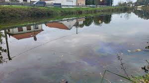 Nord Littoral - News update