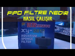 Biolife C 160 Akilli Filtre Ile Bitkili Akvaryum Kullanicimiz Mustafa Kirmizigul Un Videosu Youtube