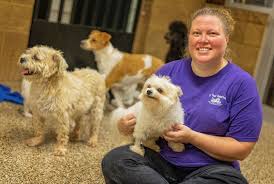 However, if no one catches your eye or tugs at your heartstrings, you can always use their match. For Paws Unleashed Richmond Kentucky Mountain Association