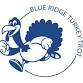 Blue Ridge Turkey Trot event image