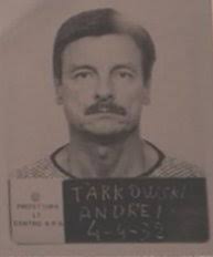 I think the book was great for a lot of reasons that are nearly impossible to put in a movie. Andrei Tarkovsky Wikipedia