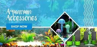 Maybe you would like to learn more about one of these? Buy Aquarium Plants Aquarium Fishes Online