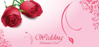 Single Red Rose Free Vector Download 8 543 Free Vector For Commercial Use Format Ai Eps Cdr Svg Vector Illustration Graphic Art Design The new designs will be published daily. single red rose free vector download 8