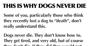 This Is Why Dogs Never Die Dogs Dying Quotes Losing A Dog Losing A Dog Quotes