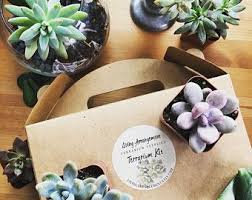 Rose Gold Copper Glass Geometric Terrarium Wedding Table Etsy In 2021 Etsy Terrariums Kits Handmade