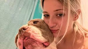 Owner of 8st 'XL Bully' dog who killed teenager in attack had been  searching for trainer over 'hyper-fixated' behaviour