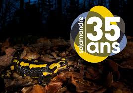 Film le complexe de la salamandre (2014) streaming vf complet gratuit sur papystreaming en hd 720p, full hd 1080p, ultra hd 4k. Julien Perrot L Homme Et La Salamandre Mouvement Colibris