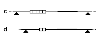 A restriction fragment length polymorphism is defined by the existence of alternative alleles associated with restriction fragments that differ in size from each other. Restriction Fragment Length Polymorphism Wikipedia