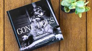 From the dog's perspective, this 12×12 coffee table book features more than 120 stunning photographs of 49 dogs giving you a tour of san francisco's most iconic locations and beyond. Talking Gone Dogs With Charlotte Writer Jim Mitchem Dog Clt