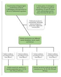 Analysis of Hepatic Lipid Metabolism Model: Simulation and Non-Stationary  Global Sensitivity Analysis