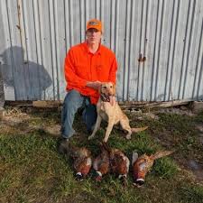 Seth Witt (@SethWitt5)