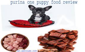 Top 5 Purina One Puppy Food Review Buyers Guide